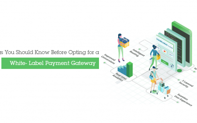 Criteria regarding a white label payment gateway